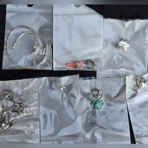 Princess Cruise Charm Bracelet w/10 Charms! ~ NEW! Sealed Jewelry Set!  (Lot #1)